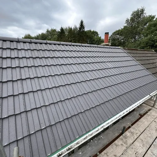 Recent roof project