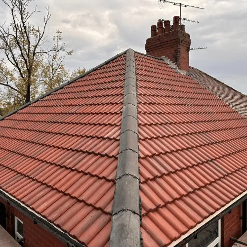 Recent roof project